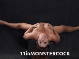 11inMONSTERCOCK