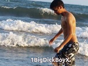 1BigDickBoyX