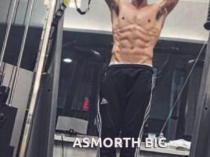 ASMORTH_BIG