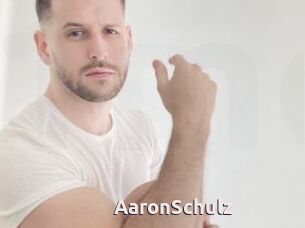 AaronSchulz