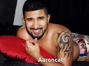 Aaroncat