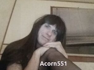 Acorn551