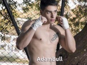 AdamBull