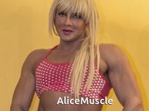 AliceMuscle