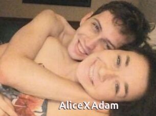 Alice_X_Adam