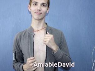 AmiableDavid