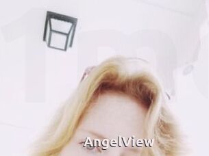 AngelView