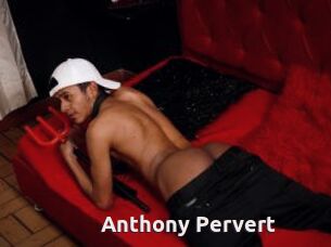 Anthony_Pervert