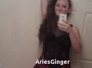 AriesGinger