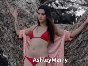 AshleyMarry