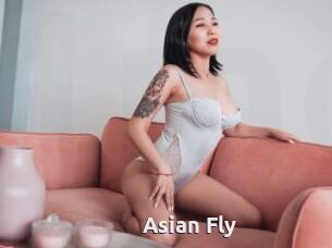 Asian_Fly