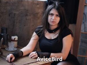 AviceBird