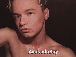 AvokadoBoy