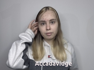 Accadavidge