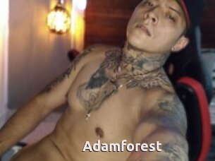 Adamforest