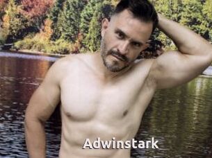 Adwinstark