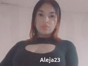 Aleja23