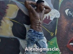 Alexbigmuscle