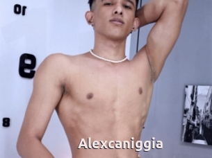 Alexcaniggia