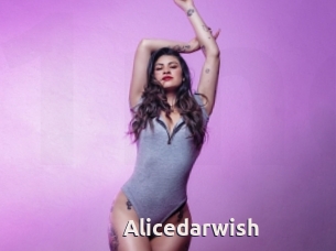 Alicedarwish