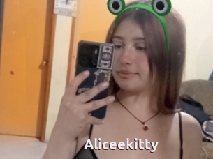 Aliceekitty