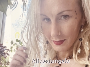 Alicesjungalo