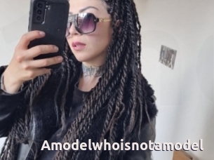 Amodelwhoisnotamodel