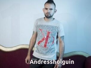 Andressholguin