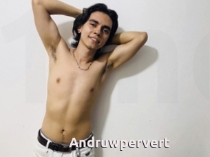 Andruwpervert