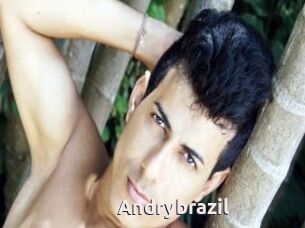 Andrybrazil