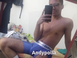 Andypolla