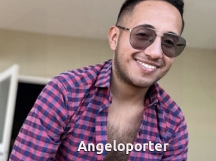 Angeloporter