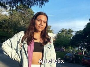 Aniefelix