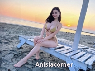 Anisiacorner