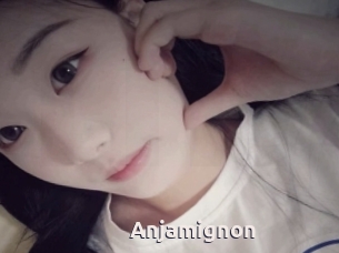 Anjamignon