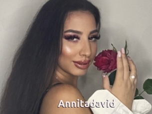 Annitadavid