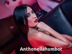 Anthonellahumbot