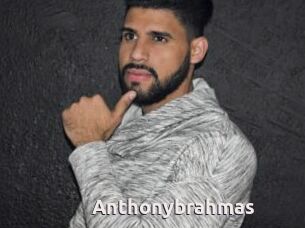 Anthonybrahmas