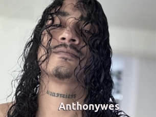 Anthonywes