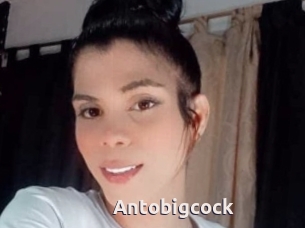 Antobigcock