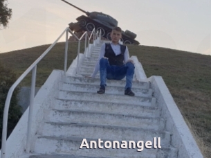 Antonangell