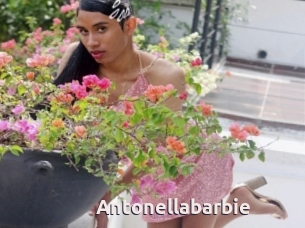 Antonellabarbie