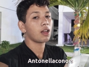 Antonellaconors