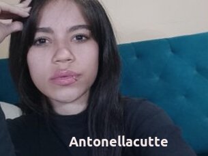 Antonellacutte