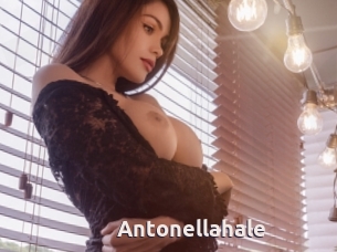 Antonellahale