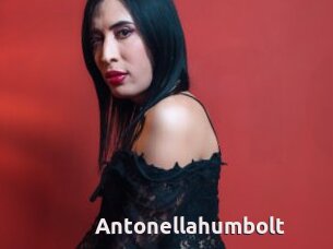 Antonellahumbolt