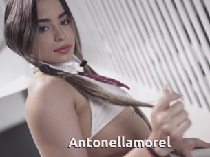 Antonellamorel