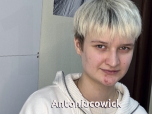 Antoniacowick