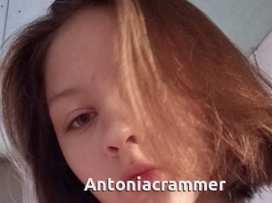 Antoniacrammer