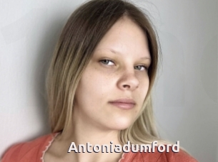 Antoniadumford